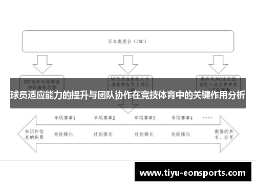 球员适应能力的提升与团队协作在竞技体育中的关键作用分析