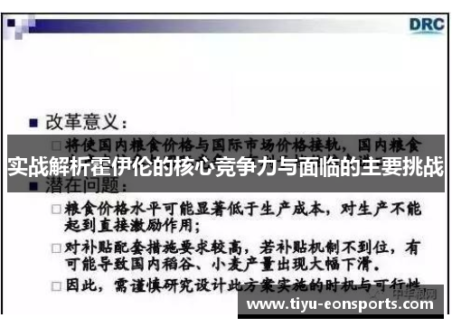 实战解析霍伊伦的核心竞争力与面临的主要挑战