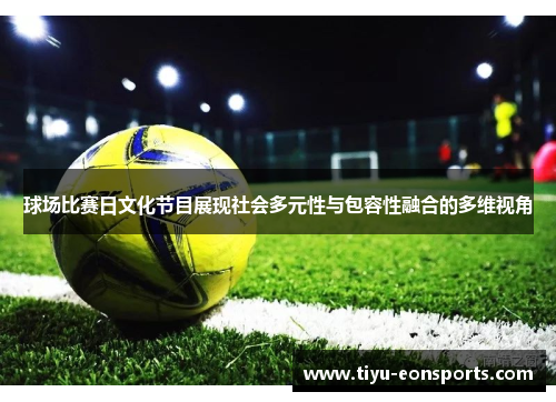 球场比赛日文化节目展现社会多元性与包容性融合的多维视角
