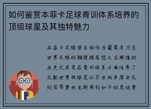 如何鉴赏本菲卡足球青训体系培养的顶级球星及其独特魅力