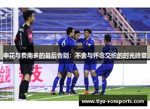 申花与费南多的最后告别：不舍与怀念交织的时光终章