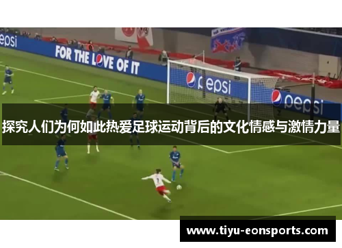 探究人们为何如此热爱足球运动背后的文化情感与激情力量