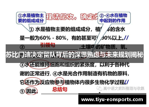 苏比门迪决定留队背后的深思熟虑与未来规划揭秘