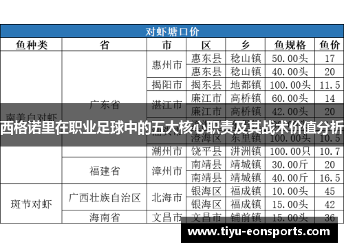 西格诺里在职业足球中的五大核心职责及其战术价值分析
