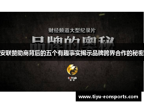 安联赞助商背后的五个有趣事实揭示品牌跨界合作的秘密 安联赞助商背后的五个有趣事实揭示品牌跨界合作的秘密