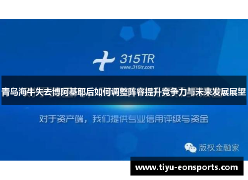 青岛海牛失去博阿基耶后如何调整阵容提升竞争力与未来发展展望